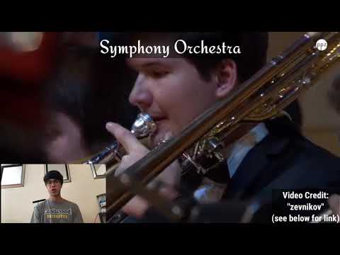 The Anatomy of the Symphony Orchestra