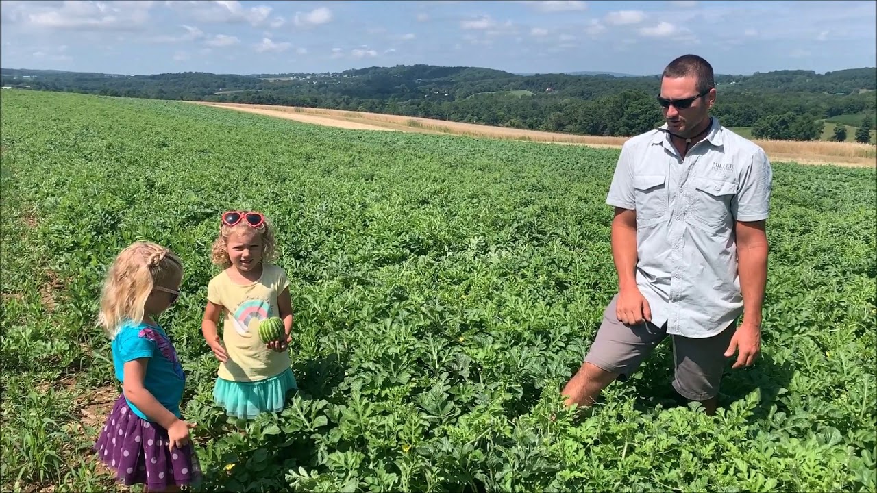 From the Farmer CSA Week #5