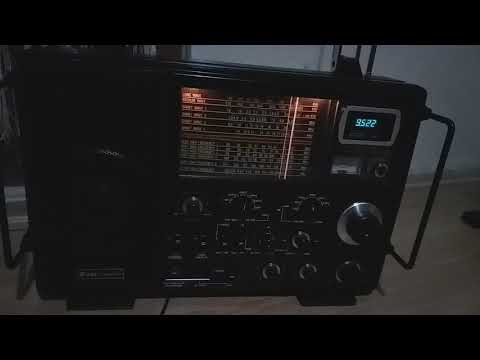 Pan crusader x tokyo jopan  sw