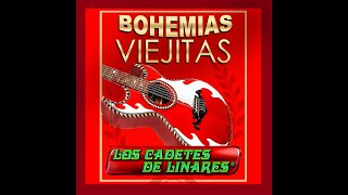 Dos Vicios - Los Cadetes de Linares