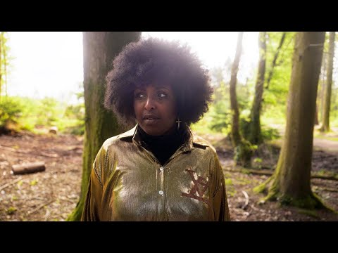 Play Video Youtube Video