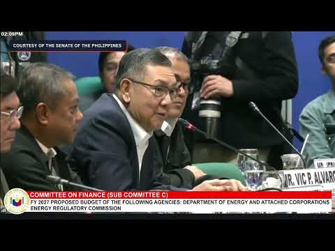 NEA seeks extra P7 billion to eliminate non-technical system losses