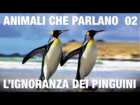 Cura di alcolismo in latny Tratti lalcolismo Penza