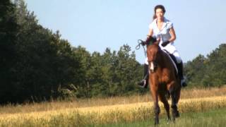 preview picture of video 'Eloïse et son cheval, Touareg !'