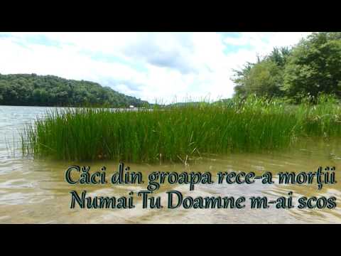 Vio Diacu - M-ai trecut prin valuri grele (Cu Versuri)