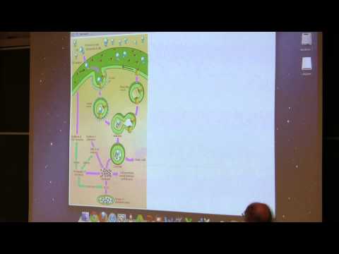 Kevin Ahern's BB 350 (Cholesterol & Photosynthesis) 2014 - #35