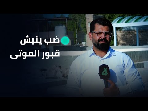 فيديو | مواطنون في كربلاء المقدسة يستغربون من ظهور الضب وقيامه بنبش قبور الموتى