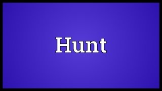 Hunt Meaning