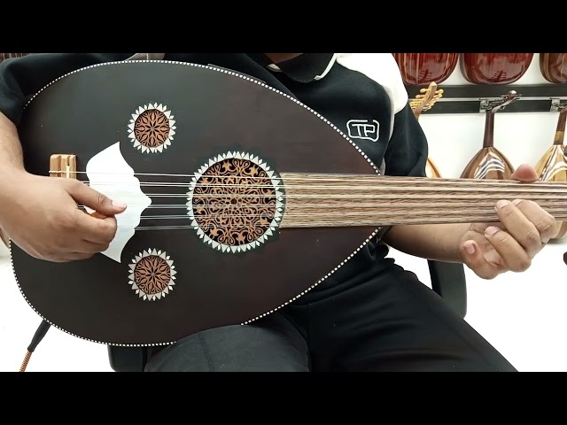 آلة العود الكهربائي الموسيقية العربي الفاخر