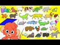Animal ABC Learn The Alphabet With 26 Animals For Children Alphabet Zoo Baby ABCD