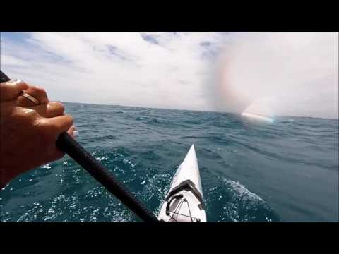 Wild Perth Downwind Surfski Paddle - October 29, 2016