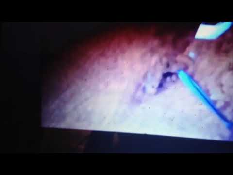 The Haunting Hour (2010): boy and his parents and friend get eaten by aliens