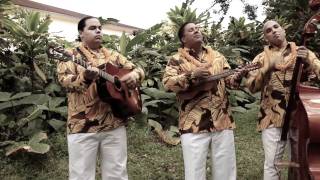 Na Hoa PuaKenikeni.mp4