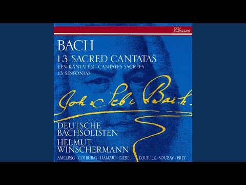 J.S. Bach: Herz und Mund und Tat und Leben, Cantata BWV 147: 9. Aria: "Ich will von Jesu...