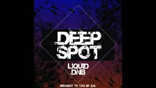 MJ Cole - Pictures In My Head (High Contrast Remix)