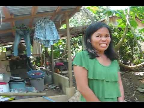 Terrified - Amazing, Marife Holds A Cobra In Her Hand