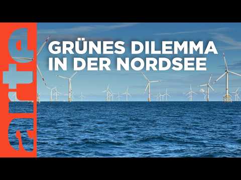 Video Thumbnail: Windparks im Meer - Chance oder Risiko für die Natur? | Doku HD | ARTE