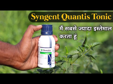 Quantis syngenta || quantis syngenta uses in hindi || agri duniya