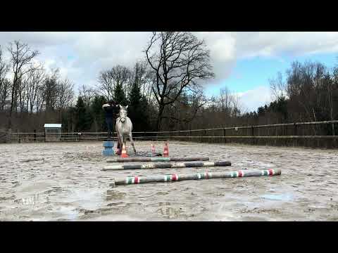 Février level confirmé