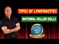Types of Lymphocytes | Natural Killer Cells👨‍⚕️