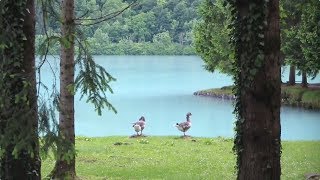 Mike Oldfield - Incantations [video]