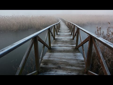 1 Ce este credința   (Ce este credința)