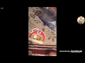 Opening Closing To Alice In Wonderland 1985 Version VHS 1993