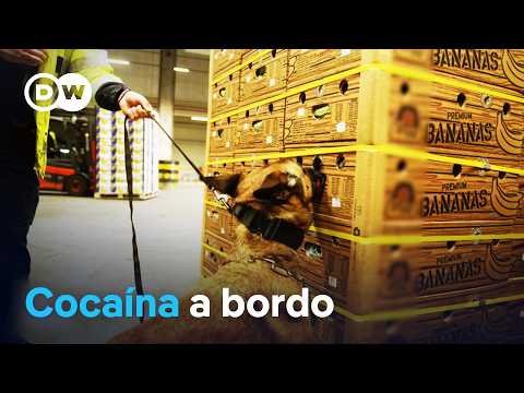 En manos de la mafia de la cocaína: cómo se infiltran los puertos europeos | DW Documental