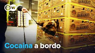 Thumbnail del capítulo