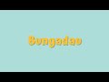 Connequin - Bungadau (Lyric Video)