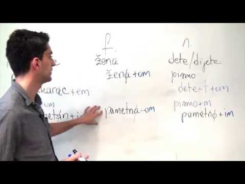 Bosnian/Croatian/Serbian Grammar: The Instrumental Singular of Adjectives