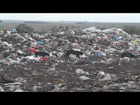 Vertedero de Caserío La Pedrera (Cerro Largo, Uruguay)