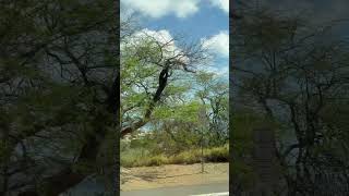 #cruise #adventure #funtimes #vacation #travel #travelphotography #vlog #blog #cruiseadventure