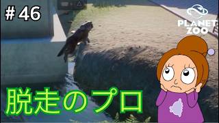 知能犯なオオカミ《プラネットズー/初見》女性実況 #46