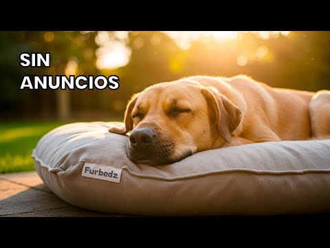 Siesta Siesta Siesta - Musica para Mascotas
