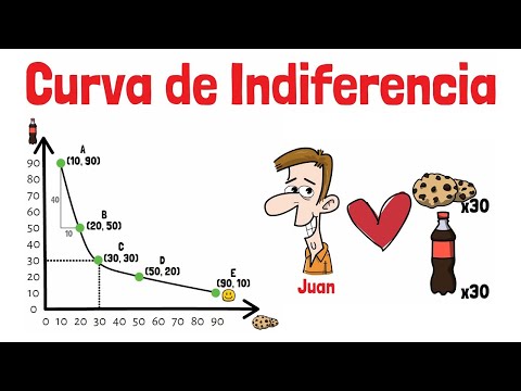 INDIFFERENCE CURVES - Explained for Beginners!