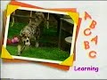 Barney Puppy Love Thirteen Airing Partial