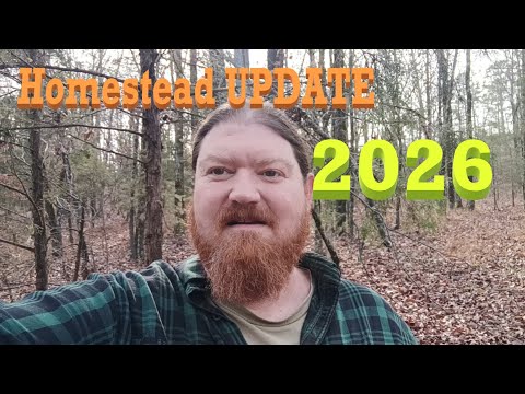 NEW!  Homestead Update