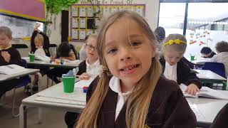 3 Best Primary School in Southend On Sea, UK - Expert Recommendations