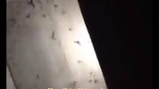 Download lagu Suara Walet dahsyat respon bagus,ini buktinya.. mp3