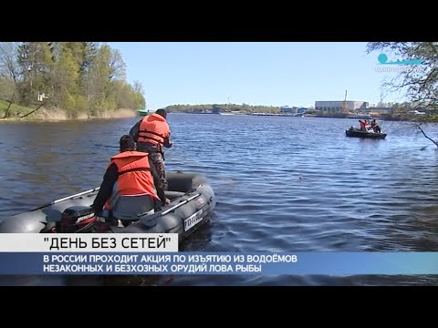 Как в Ленинградской области проходила экологическая акция «Всероссийский день без сетей»