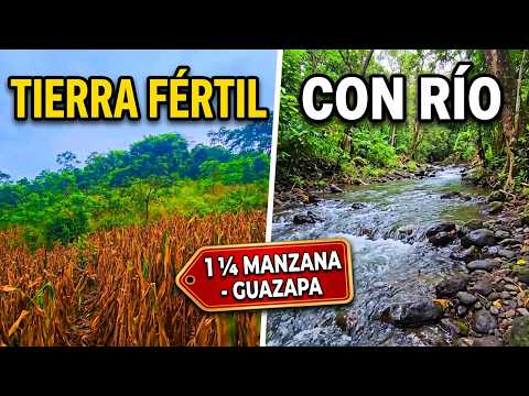 PARCELA EN GUAZAPA, 1 MANZANA 1/4 