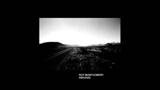 Roy Montgomery - Particle