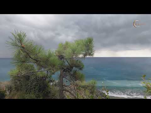 Nước mắt trong mưa - Thanh Lan