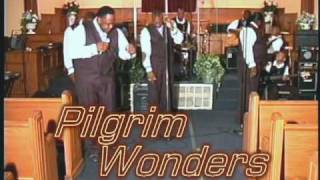 Pilgrim Wonders  