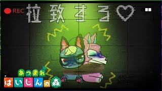 【🔴効率良く住民厳選】らちる♡♡後４人！【あつ森】