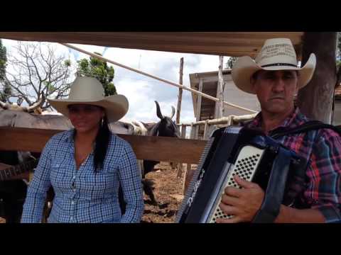 LUCIANO E LUCIMAR E VANINHO BOIADEIRO -GOIÁS A MINAS GERAIS 2017
