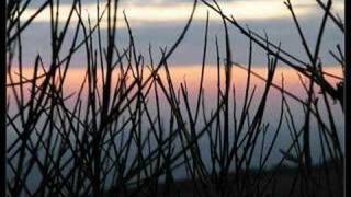 lunar landings - kalliope
