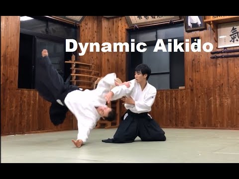 Dynamic and Fluent Aikido with Toshihito Saotome Part III