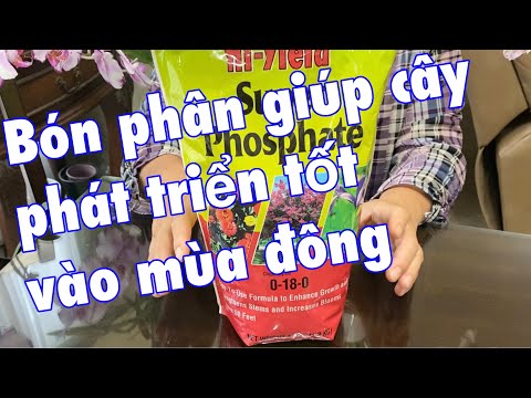 , title : 'Cách bón phân giúp cây phát triển tốt vào mùa đông và ý nghĩa con số trên bịch phân + Lan Hồ Điệp'